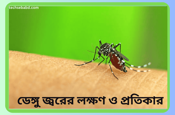 ডেঙ্গু জ্বরের লক্ষণ ও প্রতিকার